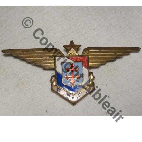 FAFL Grave FA.F.L.  SM Eping bascule Dos lisse irreg No5390  65x30mm Sc.laminisardine 101Eur02.10