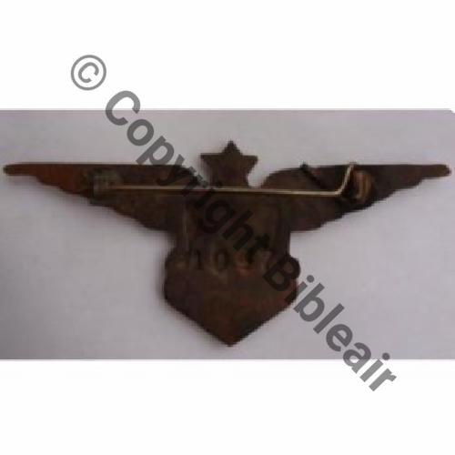FAFL Grave FAFL  SM Eping bascule Dos lisse irreg No1047 DOS Sc.legion1eric 70Eur08.11
