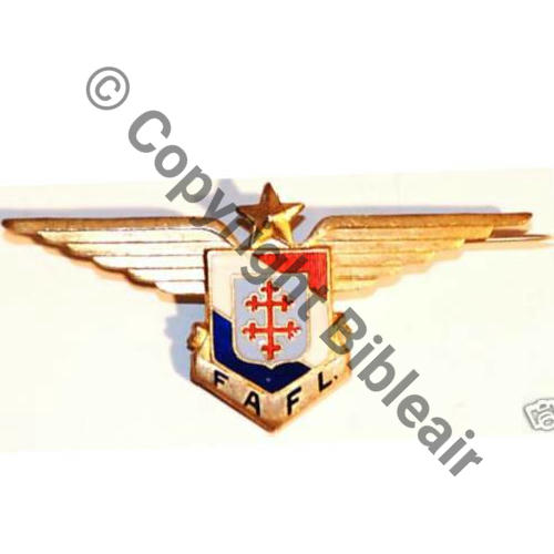 FAFL Grave FAFL.  Gd Modele 64x30mm SM (Fab CARTIER GB) Eping bascule deborde Dos lisse irreg No7168 Sc.roxhan888 85Eur09.09)