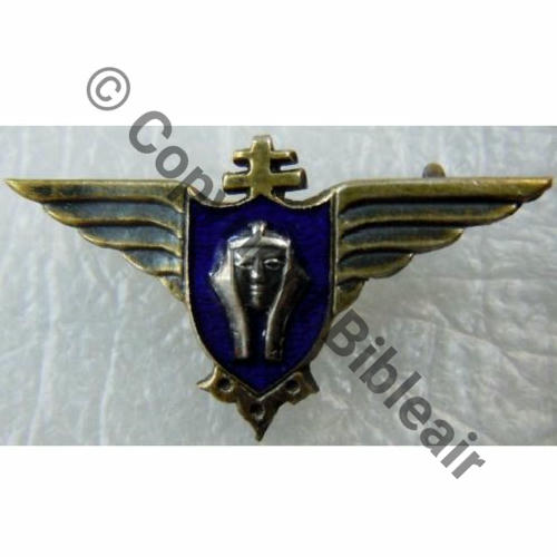 FAFL Miniature de SPECIALITE INTERPRETE  SM Eping bascule Dos irreg 27x15mm 49EurInv Src.francemilitaria 