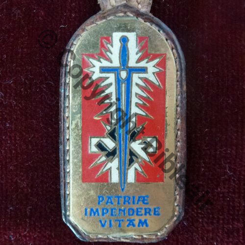 TROUPES OCCUPATION AUTRICHE Metal Fab RFA  A COUDRE  Dore Src.ledemisolde 17Eur(x2) 