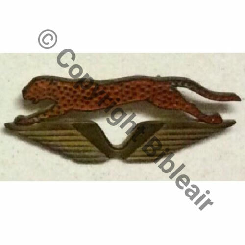 CIE AIR 41.104 CHANTILLY LES AIGLES  SM (DELANDE) Eping bascule Dos lisse EMAIL ORANGE POINTS ROUGES Src.maximaj30 1010Eur en lot 05.22 