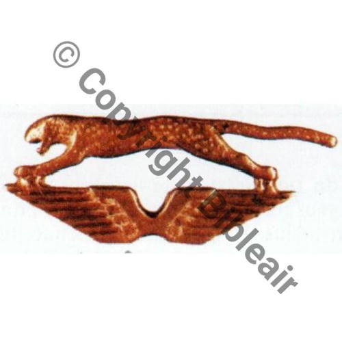 CIE AIR 41.104 CHANTILLY LES AIGLES  SM.. Metal cuivre Src.TOCK S&T 184