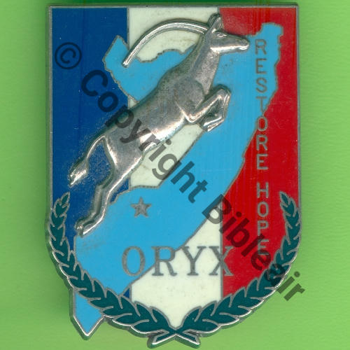 SOMALIE  NH OPE ORYX 1992  BALME SAUMUR Griffes et butees Dos lisse scintillant  Src.Y.GENTY  7Eur02.22 
