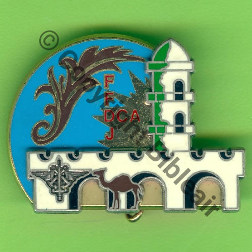 DJIBOUTI  DCA NH  De Griffes et butees Dos grenu Src.Y.GENTY 10Eur(x6) 