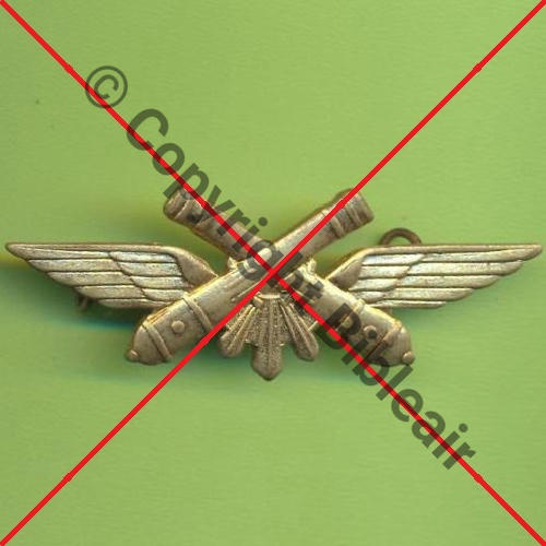 ETRANGER BELGIQUE GARDE TERRITORIALE ANTI AERIENNE BELGE  SM 2Anneaux Sc.Y.GENTY 3Eur09.06 