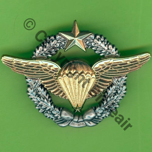 BREVET AIR COMMANDO PARA  & PARA ESSAI  BERAUDY VAURE 2Attach PINS Dos irreg scintillant Src.Y.GENTY 12Eur12.20 