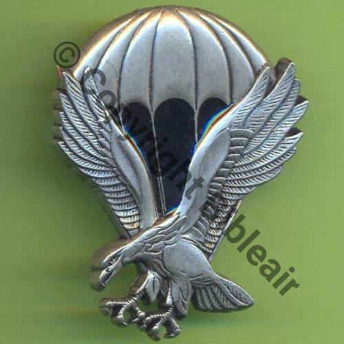 BREVET AIR SAUTS DE MOTIVATION (2 sauts)  De Griffes et butees Dos irreg  Sc.Y.GENTY 15Eur(x2)