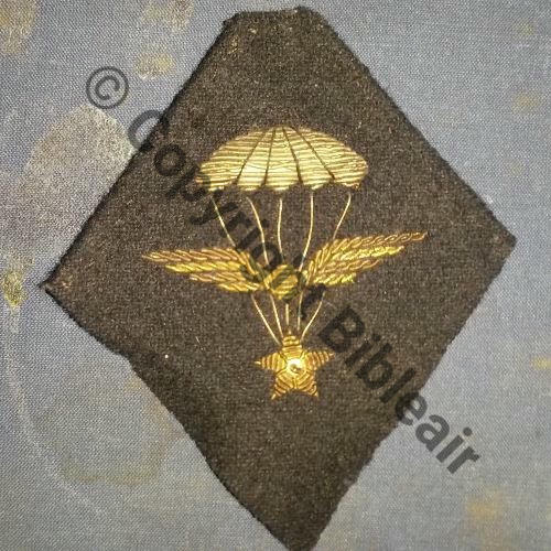 BREVET PARA INFANTERIE AIR Aile petite nouee Src.vict.pari 121Eur04.16 