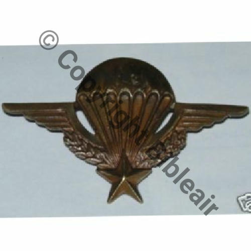 BREVET PARA INFANTERIE AIR RETIRAGE Brevet Metal circa70-80 2Anneaux Guillochage DRAGO No196 Sc.ottobreiz 