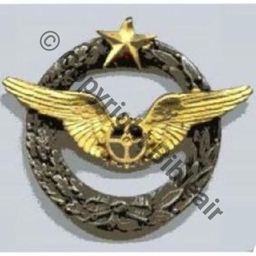 NH BREVET MECANICIEN EQUIPAGE Couronne plate LAURIERS  SM