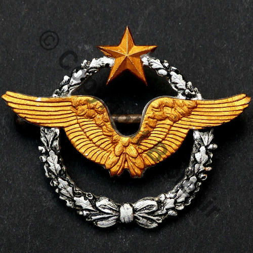 NH BREVET PILOTE  A.AUGIS LYON 1Li Alu 2Anneaux Dos granuleux    ALU A.AUGIS LYON 1Ligne  2Anneaux  Src.ccluc 53Eur05.07 