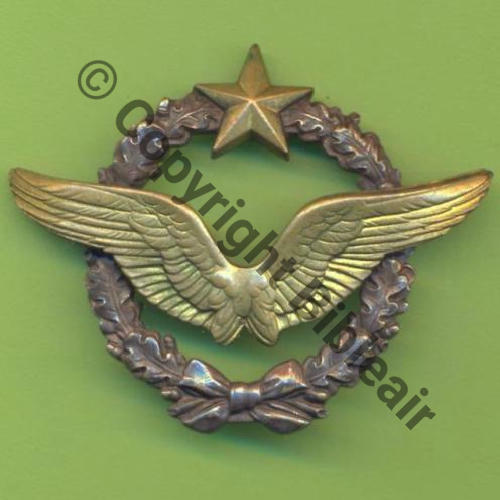 NH BREVET PILOTE  DrPOM Ins officiels Dos lisse PERSO LCL GENTY Sc.Y.GENTY  