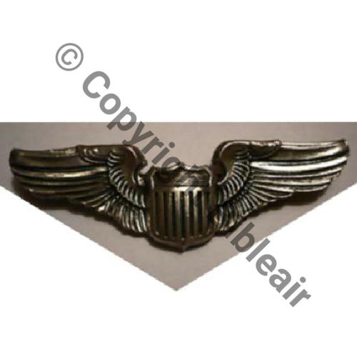 BREVET AMERICAIN PIL FRANCAIS ARGENT Sterling Silver 925.1000 Eping 50x15mm Sc.696303 31Eur10.09