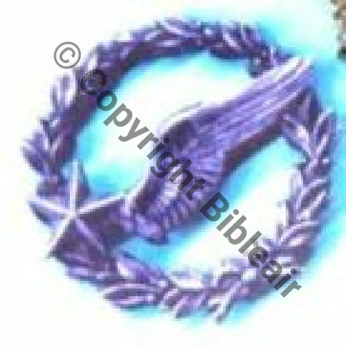 BREVET OBSERVATEUR AVION 1912.22... Metal leger Embouti SM 2Annos Embouti Sc.A.BLANCHET 12Eur12.06 