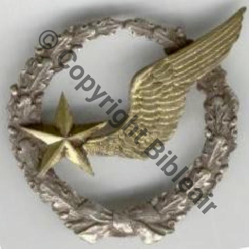 BREVET OBSERVATEUR AVION 1920.30... SM