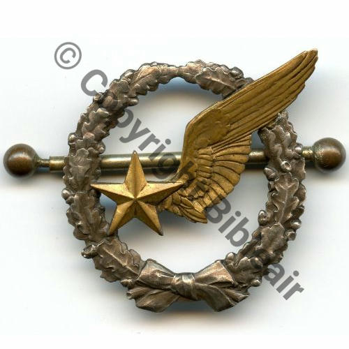 BREVET OBSERVATEUR AVION WW1 B202 Modele 1916 SM 2Anneaux Dos lisse Src.olivier450 390EurInv 