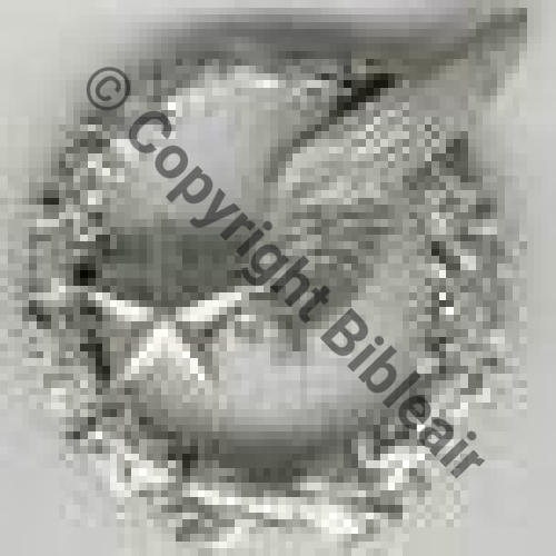 BREVET OBSERVATEUR AVION WW1 B2181 SM  Argent ou cuivre argente