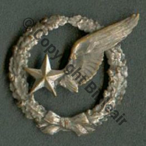 BREVET OBSERVATEUR AVION WW1 B3044 Modele 1916 SM 2Anneaux Dos lisse Sc.kentucky 251Eur06.07