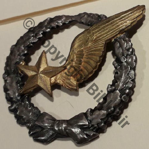BREVET OBSERVATEUR AVION WW1 B3549 Modele 1916 SM 2Anneaux Dos lisse Src.pateque5 238EurInv 