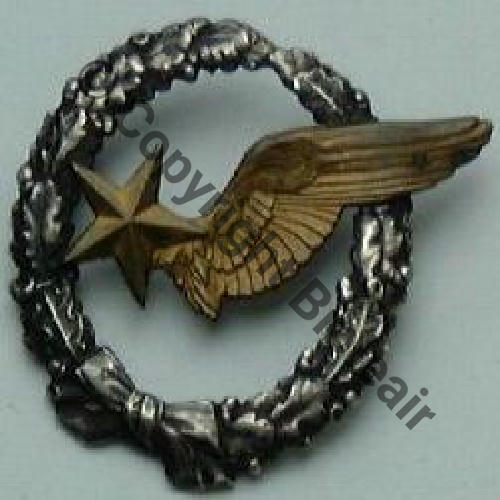 BREVET OBSERVATEUR AVION WW1 B4306 Modele 1916 SM 2Anneaux Dos lisse 131Eur 05.06