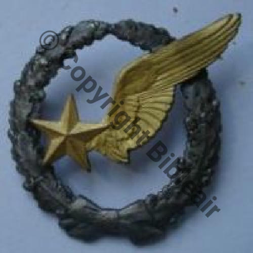 BREVET OBSERVATEUR AVION WW1 B5787 Modele 1916 SM 2Anneaux Dos lisse Sc.denis4999 302Eur06.07
