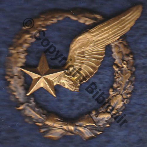 BREVET OBSERVATEUR AVION WW1 No5459 Modele 1916 SM 2Anneaux Dos lisse Src.arches57 150EurInv
