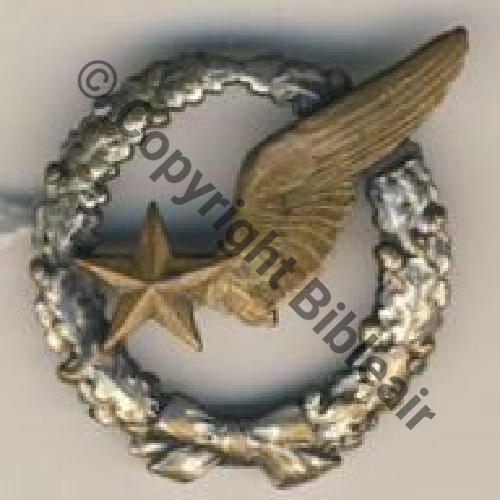 BREVET OBSERVATEUR AVION WW2 No8918 Modele 1916 SM 2Anneaux Dos lisse Src.tacambaro1865 35Eur05.12