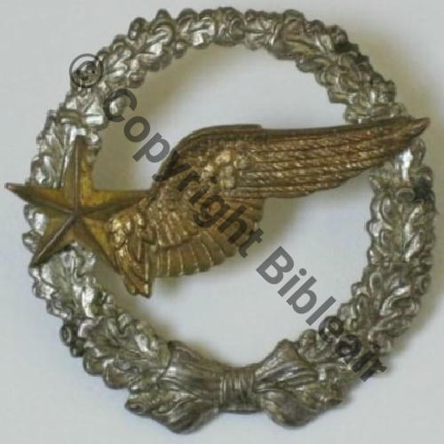 BREVET OBSERVATEUR AVION WW2 NoGB.193 (01...) Modele 1916 SM 2Anneaux Dos lisse Aile brochee Src.roland61.09 151Eur03.15
