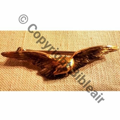 BREVET PILOTE  WW1 Avant 1916 Bijou type FIX TETE A GAUCHE ayant servi Brevet PILOTE  SM Eping bascule Dos lisse Poincon  Src.matwiller 