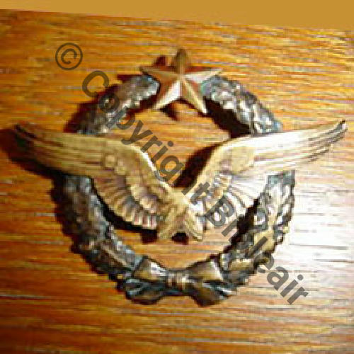 BREVET PILOTE  WW1 B10229 Sc.denisbd 190Eur03.09