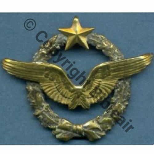 BREVET PILOTE  WW1 B10401 Att KC PIL de la F118 252Eur Ebay02.06 
