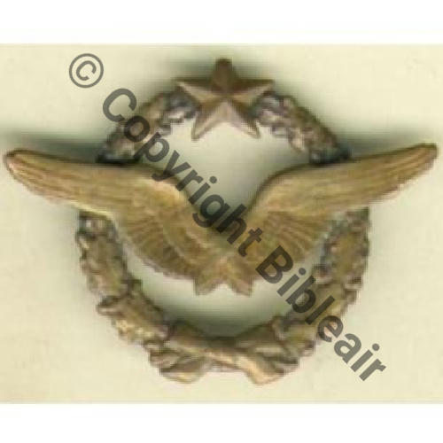 BREVET PILOTE  WW1 B12719 Sc.grandspins  214Eur01.07 
