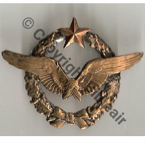 BREVET PILOTE  WW1 B12720 SM 2anneaux Dos lisse attaches restaurees Sc.petaztin 147Eur03.09