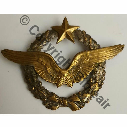 BREVET PILOTE  WW1 B1277 SALAMON PIERRE  SM 2Anneaux Dos lisse 1915 Src.tamanoirjp 599EurInv