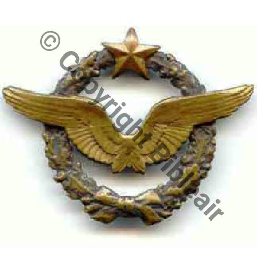 BREVET PILOTE  WW1 B12938  SM 2Anneaux Dos lisse Sc.hugopuget 271Eur12.08 
