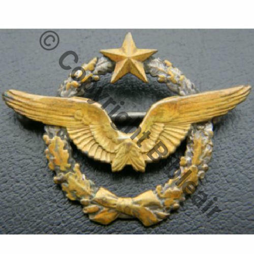 BREVET PILOTE  WW1 B13326  SM 2Anneaux Dos lisse Src.cris210.1 152Eur10.13 