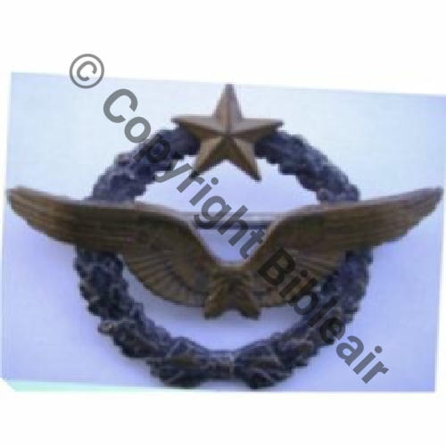BREVET PILOTE  WW1 B14035 SM 2Anneaux Dos lisse Sc.emaxlo  266Eur12.07 
