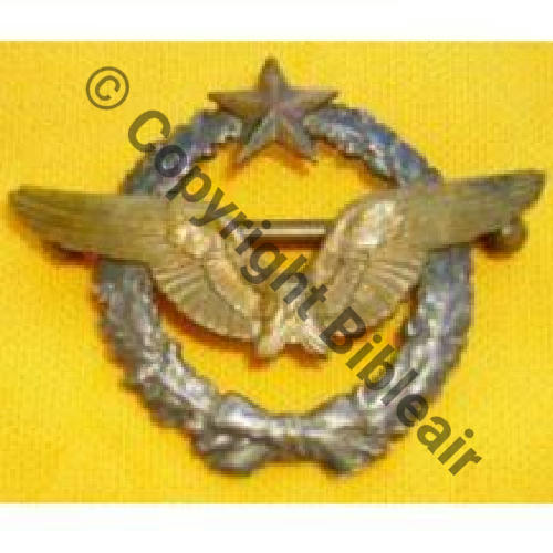 BREVET PILOTE  WW1 B14242 SM 2Anneaux Dos lisse Sc.vodkichou  121Eur01.07 