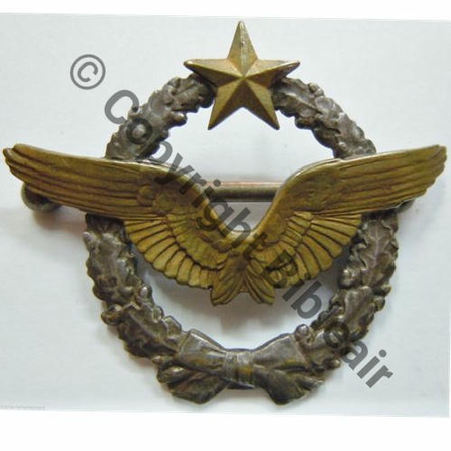 BREVET PILOTE  WW1 B14497 SM 2Anneaux Dos lisse Src.vodkichou  600EurInv 