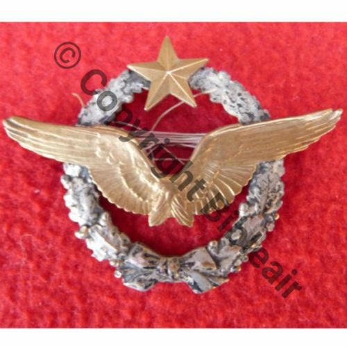 BREVET PILOTE  WW1 B1496 SALAMON PIERRE  SM 2Anneaux Dos lisse Sc.09genie 508Eur11.10