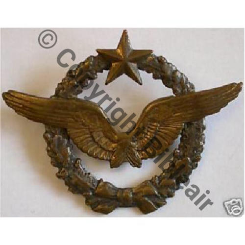 BREVET PILOTE  WW1 B15041 SM 2Anneaux Dos lisse Sc.abbi0  227Eur07.08 