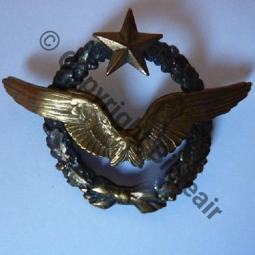 BREVET PILOTE  WW1 B15200 SM 2Anneaux Dos lisse Src.majpetaf  159Eur10.12 