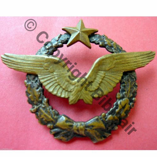 BREVET PILOTE  WW1 B16358 SM 2Anneaux Dos lisse Src.chouettehibou  201Eur07.14 