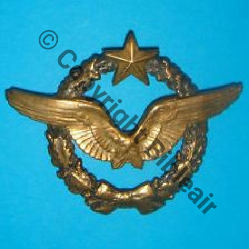 BREVET PILOTE  WW1 B16792 SM Dos lisse 2Anneaux Sc.7939michelf 105Eur03.11  - Copie