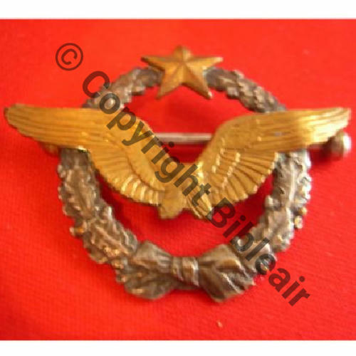 BREVET PILOTE  WW1 B17353 SM 2Anneaux Dos lisse Src.gustou29  207Eur09.12 