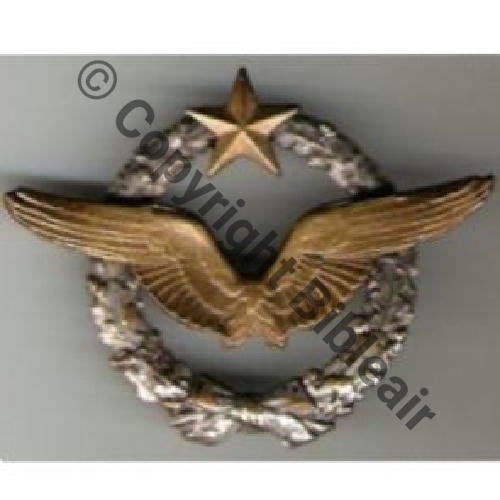 BREVET PILOTE  WW1 B18742...  152Eur06.05