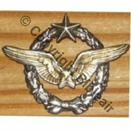 BREVET PILOTE  WW1 B19588  Src.insignes.59 140EurInv