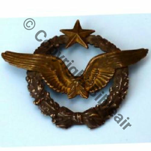 BREVET PILOTE  WW1 B19996  Sc.ge-rault 138Eur02.11