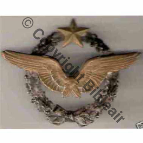 BREVET PILOTE  WW1 B20139  Sc.marmotte 201Eur06.08